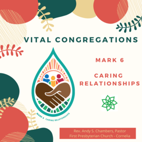 Congregational Vitality: Caring Relationships