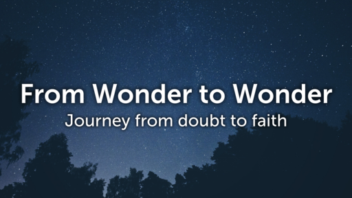 From Wonder to Wonder pt 2 - Sarah's pregnancy