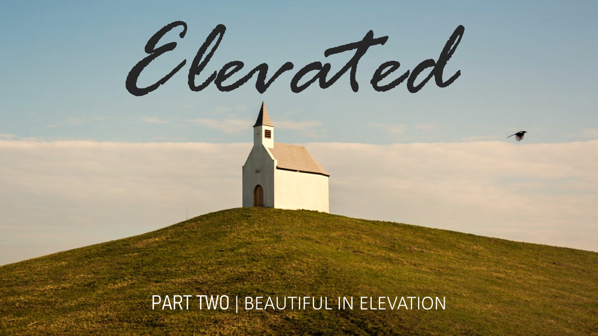 Beautiful in Elevation - Logos Sermons