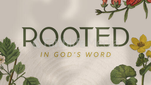 Rooted In God's Word Nature