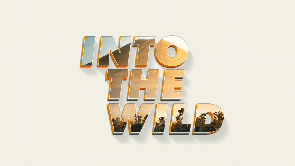 Into The Wild large preview
