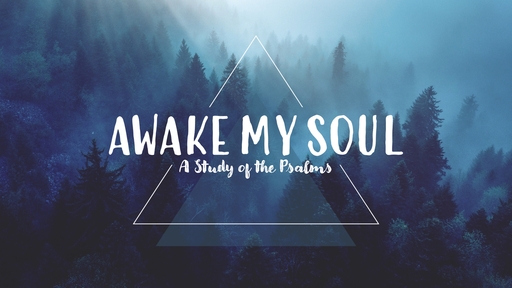 Awake My Soul: A Study of the Psalms