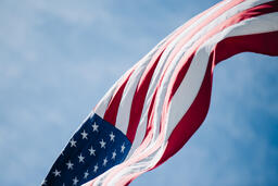 The American Flag  image 3