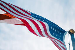 The American Flag  image 1