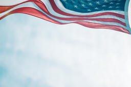 The American Flag  image 2