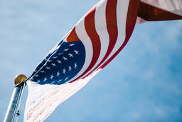 The American Flag  image 2