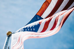The American Flag  image 3