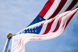 The American Flag  image 1