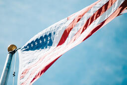 The American Flag  image 1