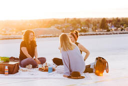 Women Talking and Having a Picnic Together  image 3
