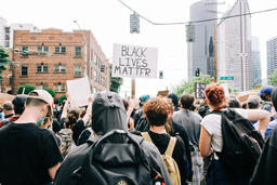 Peaceful Protesters Holding Black Lives Matter Signs  image 2