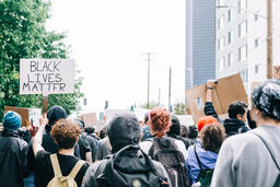 Peaceful Protesters Holding Black Lives Matter Signs  image 1