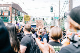 Peaceful Protesters Holding Black Lives Matter Signs  image 2