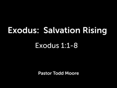 Exodus:  Salvation Rising