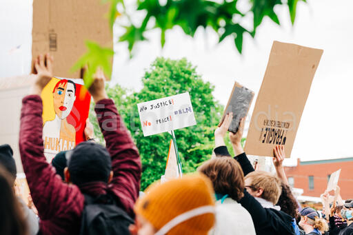 People Holding Signs at a Peaceful Rally