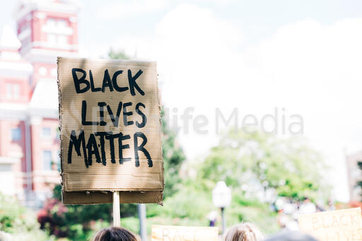 Black Lives Matter Sign at a Rally