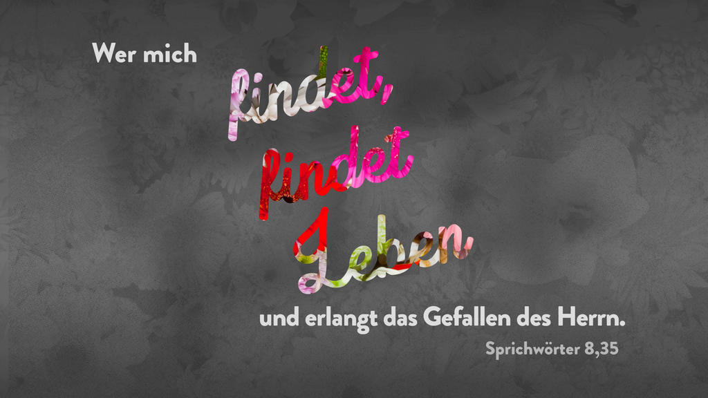 Sprüche 8,35 large preview