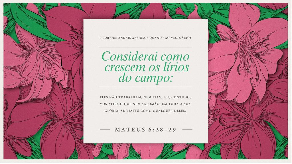 Mateus 6.28–29 large preview