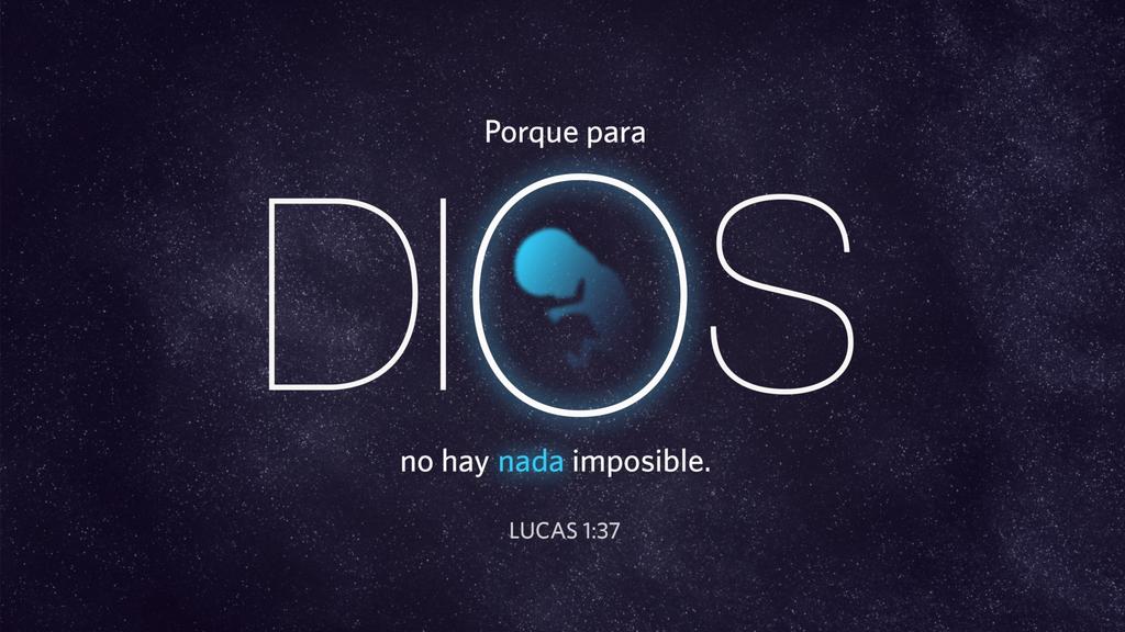 Lucas 1.37 large preview