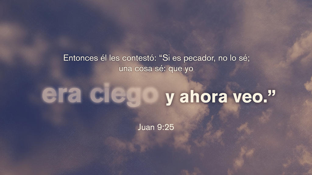 Juan 9.25 large preview