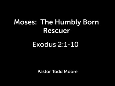Moses:  The Humbly Born Rescuer