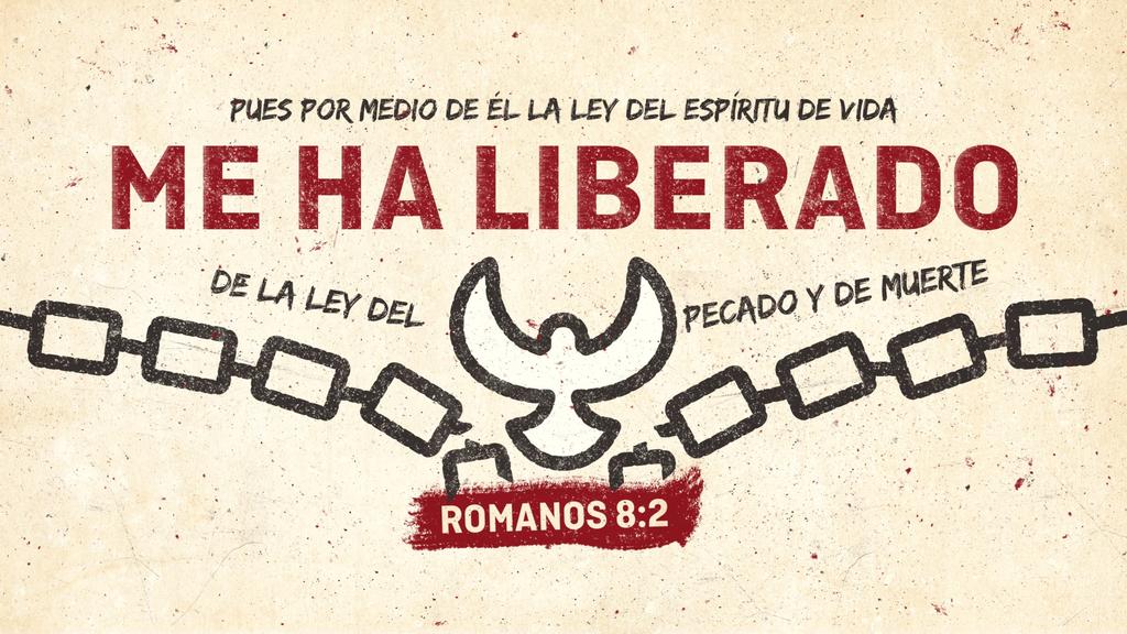 Romanos 8.2 large preview