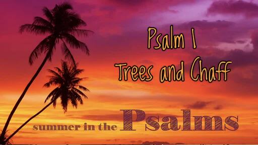 Psalm 1 - Trees and Chaff