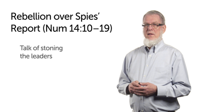 Rebellion over the Spies’ Report—Part 2 (Num 14:10–19)