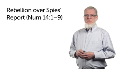 Rebellion over the Spies’ Report—Part 1 (Num 14:1–9)