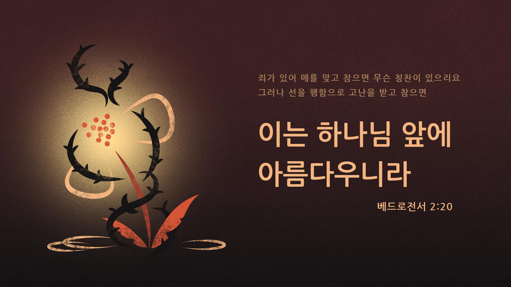 베드로전서 2:20 large preview