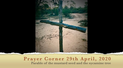 The Parable of the Mustard seed and sycamine tree
