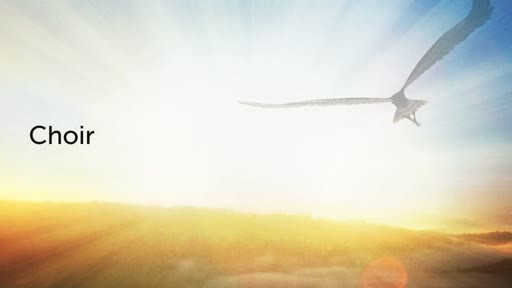 THE SPIRITUAL BLESSING OF ADOPTION PASTOR JIM 2/5/17 (3)