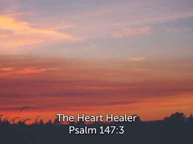 The Heart Healer pt 2