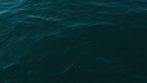 Sunday 7/12/2020 Protecting and Defending