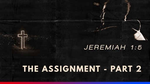 The Assignment - Part 2