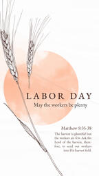 Labor Day Wheat  PowerPoint image 6