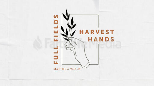Full Fields Harvest Hands
