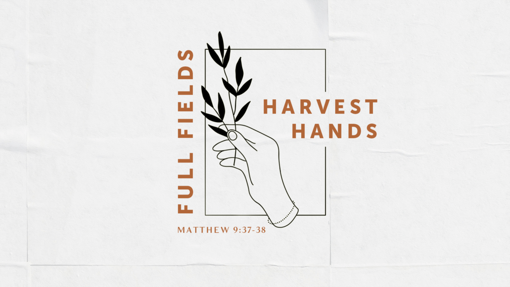 Full Fields Harvest Hands large preview