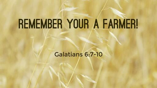 (Galatians 6:7-10) Plant for an Eternal Harvest