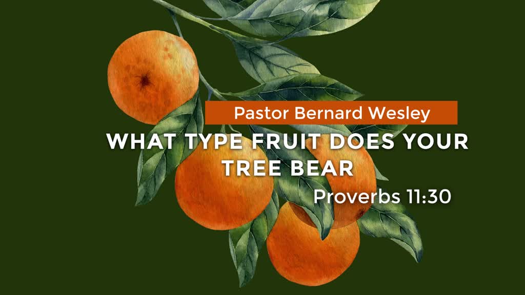 What type fruit does your tree bear Faithlife Sermons