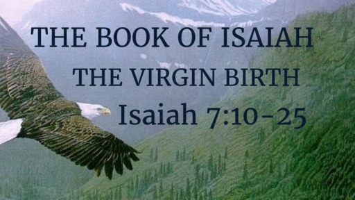 July 19, 2020 The Virgin Birth