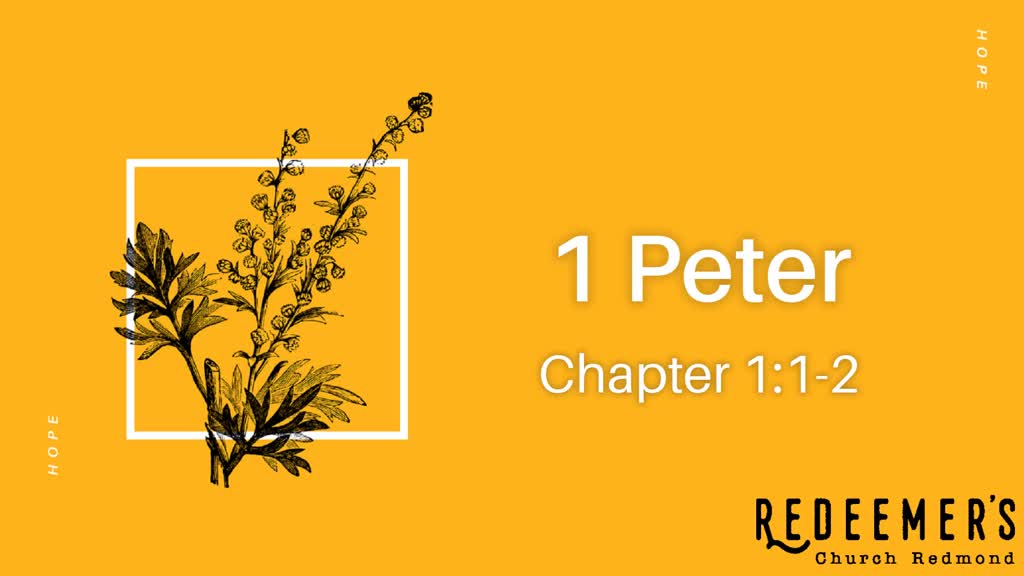 1 Peter 1 1 2 Introduction Logos Sermons 1-peter-1-1-2-introduction-logos-sermons