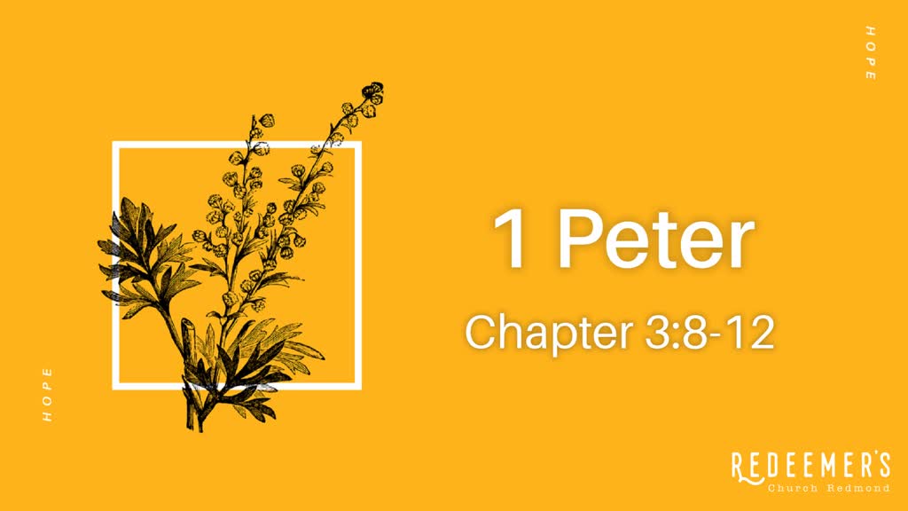 1-peter-3-8-12-faithlife-sermons