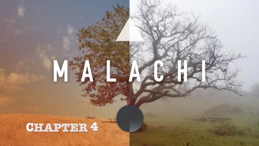 FRI - AUG 7 - MALACHI 4
