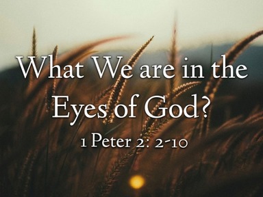 What We are in the Eyes of God