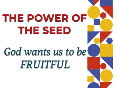The Power of seed