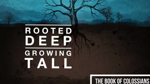 Rooted Deep. Grwoing Tall