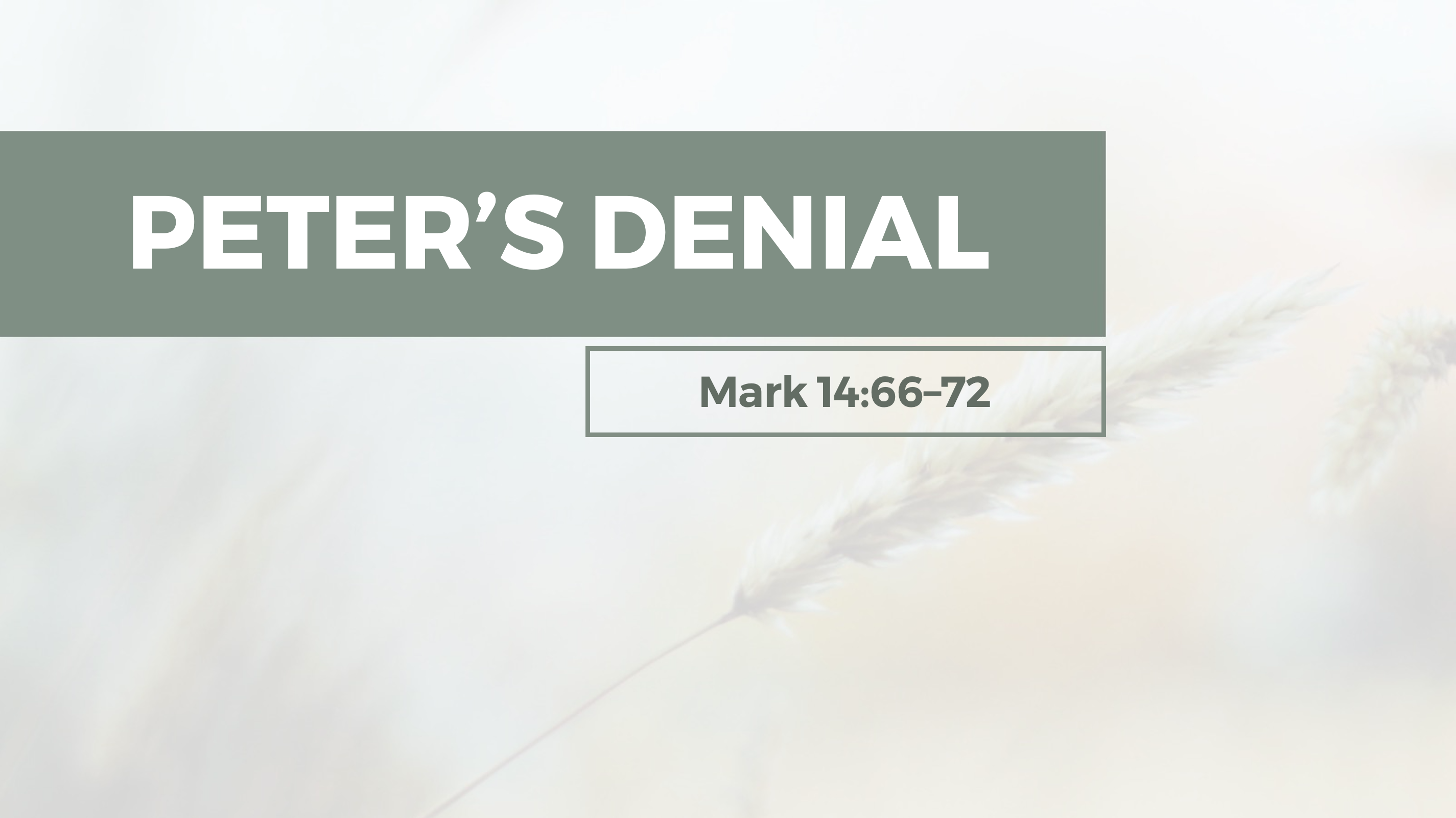 Peter s Denial Faithlife Sermons peter-s-denial-faithlife-sermons