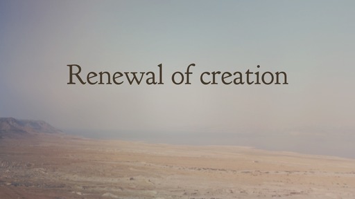 Renewal of creation