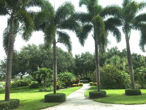 Memorial Garden